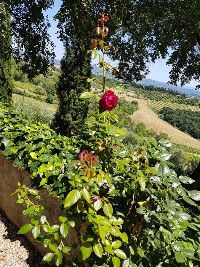 Il Leccio - Casa Toscana San Gimignano Gambassi Terme Exteriér fotografie
